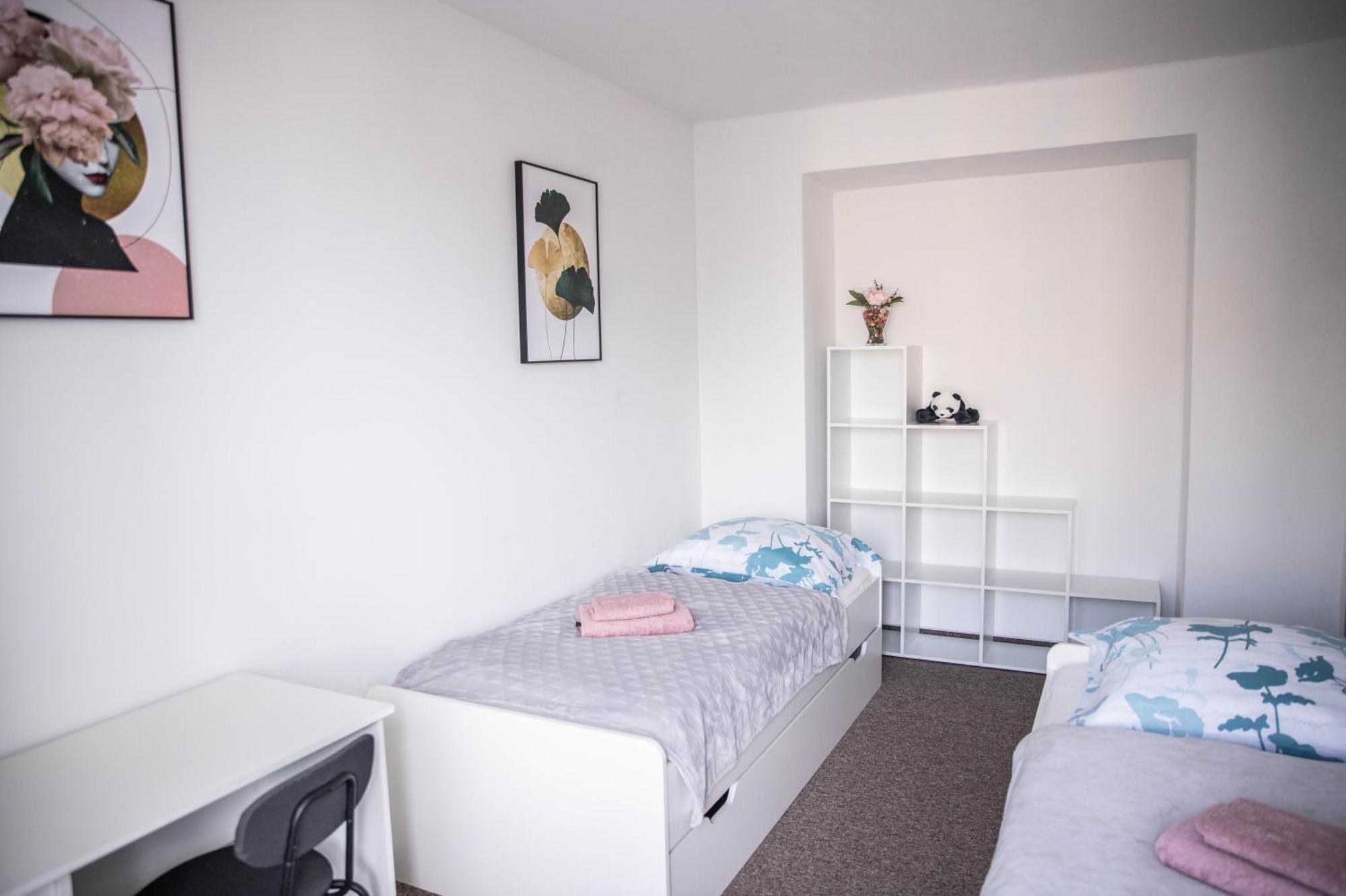 Prostorny Byt V Centru U Reky, 2 Loznice, Balkon Hradec Králové Extérieur photo