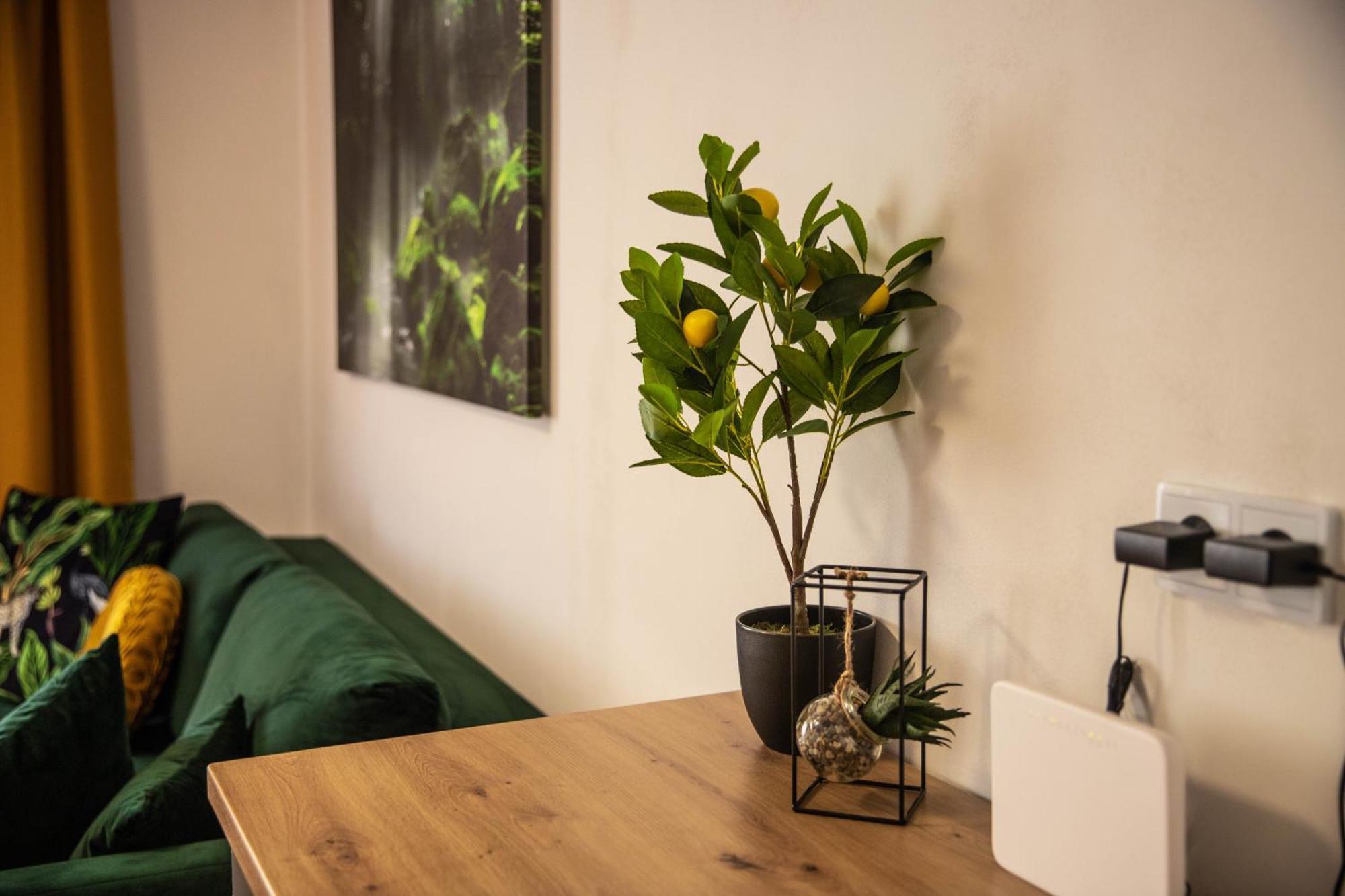Prostorny Byt V Centru U Reky, 2 Loznice, Balkon Hradec Králové Extérieur photo